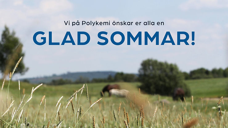 2c909b_c53885c344824d8798d2bf1cf5fa0316~mv2 (1) 2c909b_c53885c344824d8798d2bf1cf5fa0316~mv2 (1)